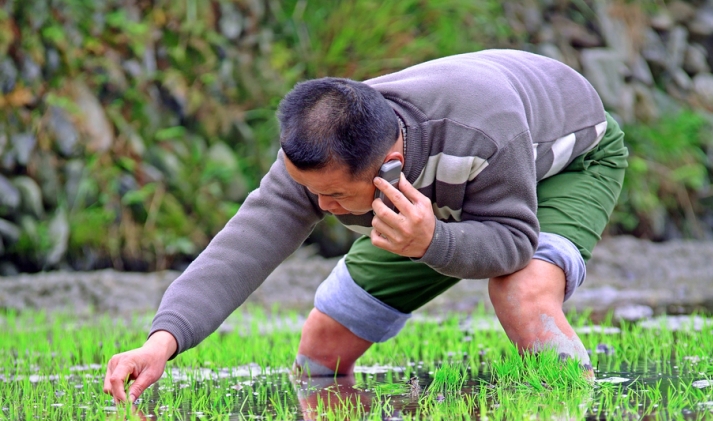 ruralfarmer