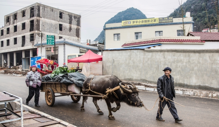 ChinaFarmer