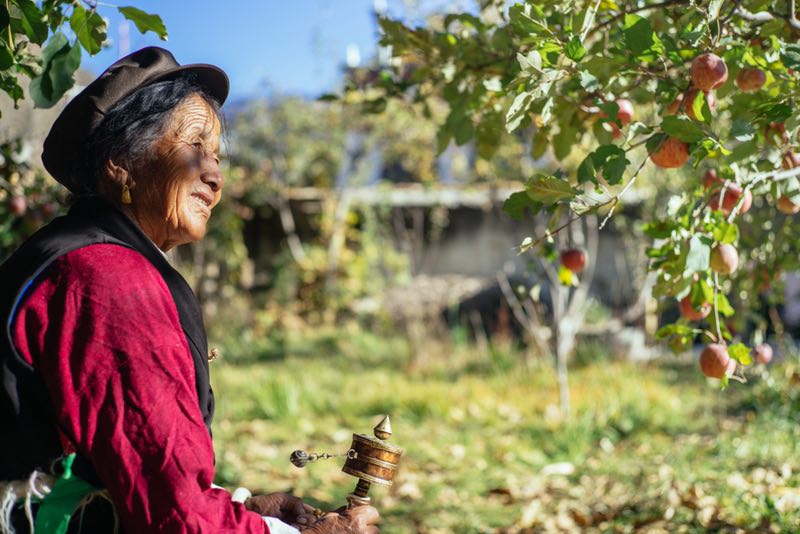 A farmer in Sichuans Xiangcheng county tends to her apple tree everyday. Alibaba recently empowered the regions farmers to develop their own Xiangcheng Apples brand _02222019