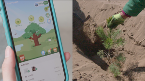 Ant Forest app and planting