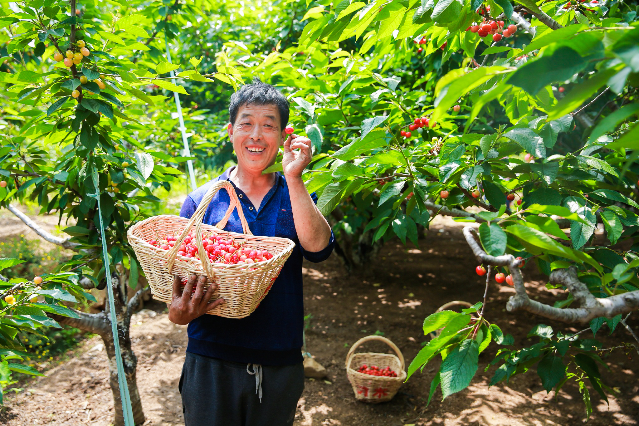 farmer