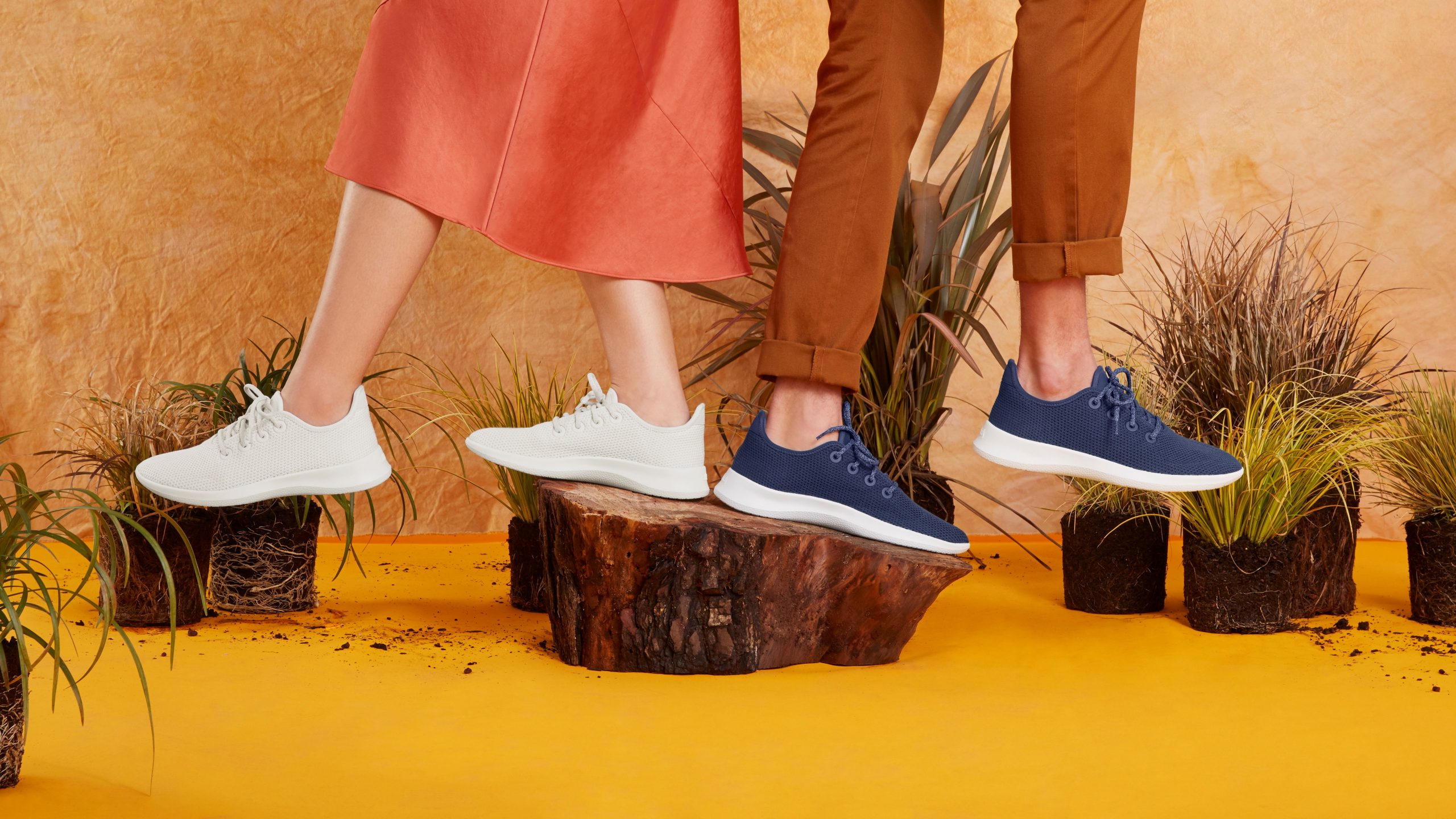 Allbirds hot sale executive team