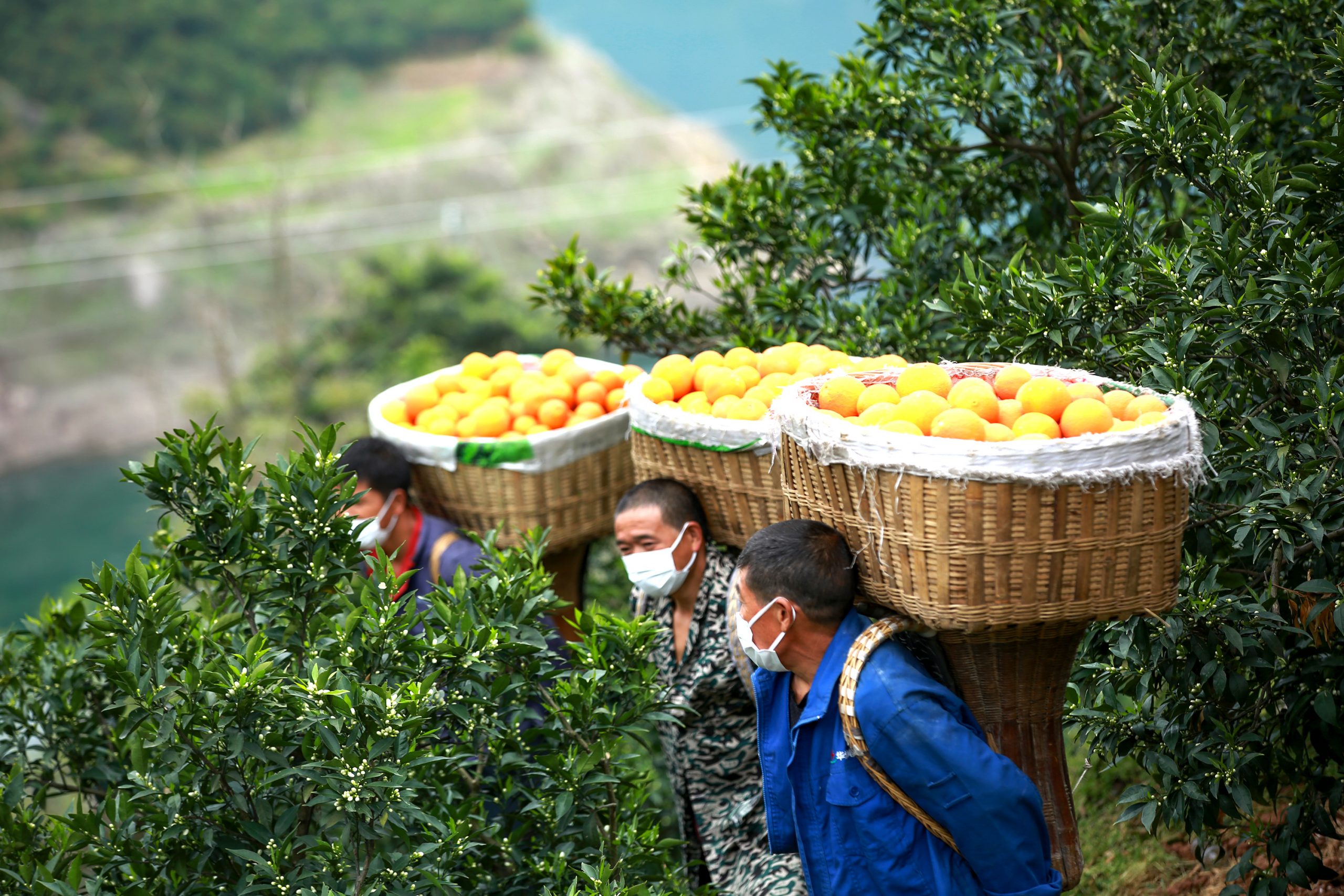 Farmers with fruits