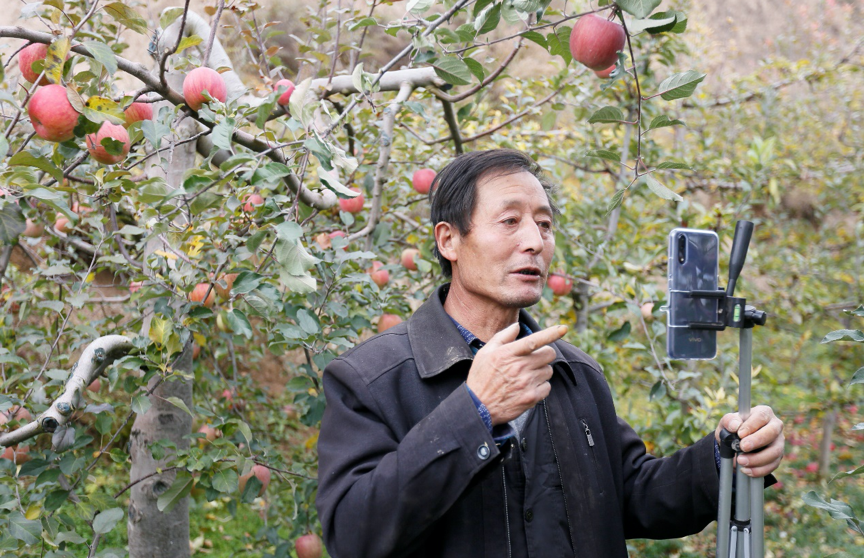 Livestreaming Apple Farmer