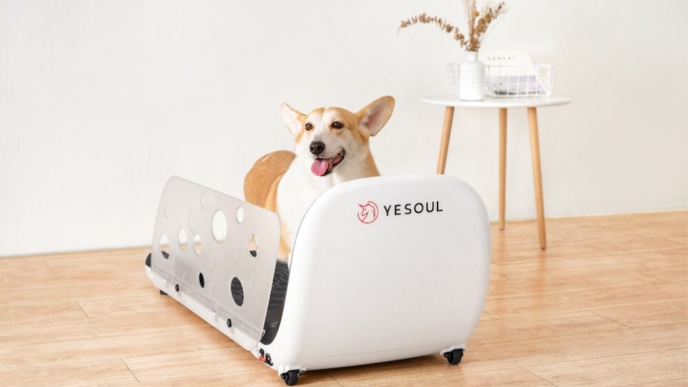 Taobao Maker Festival 2021 Pet Treadmill