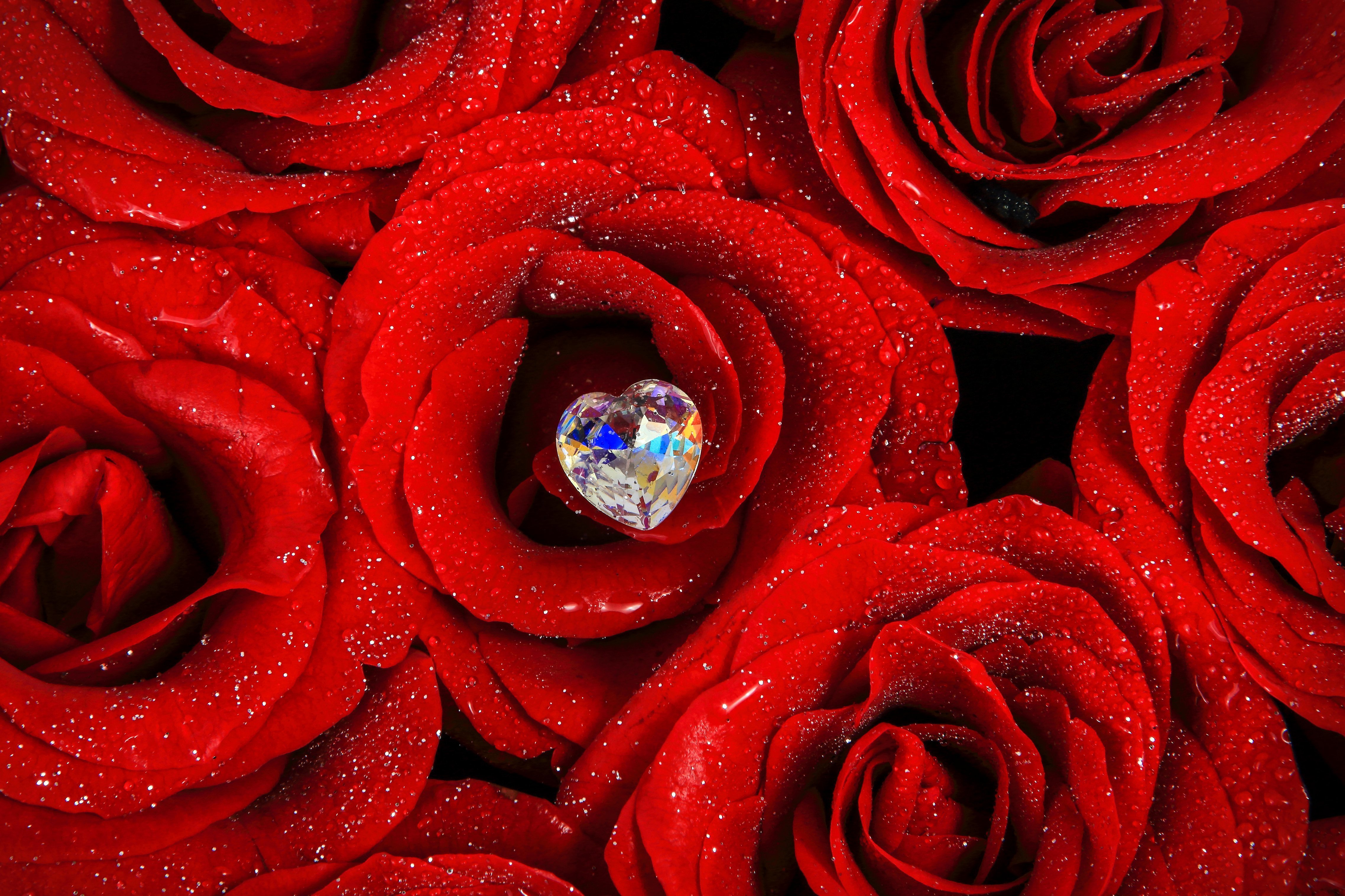 Diamond,Heart,With,Red,Rose,Background,,Red,Rose,And,Diamond