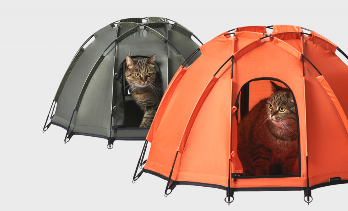 Pets Go Camping