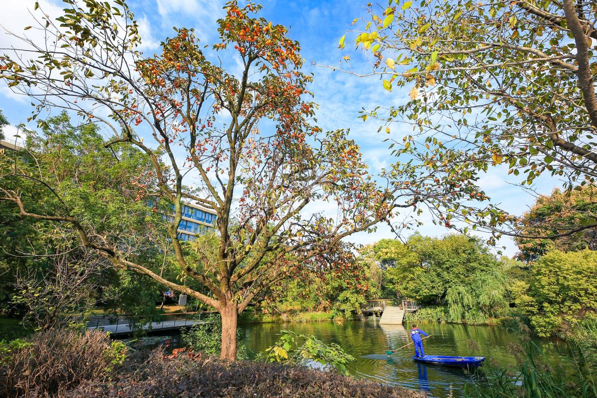 Xixi Campus Forest is sustainable