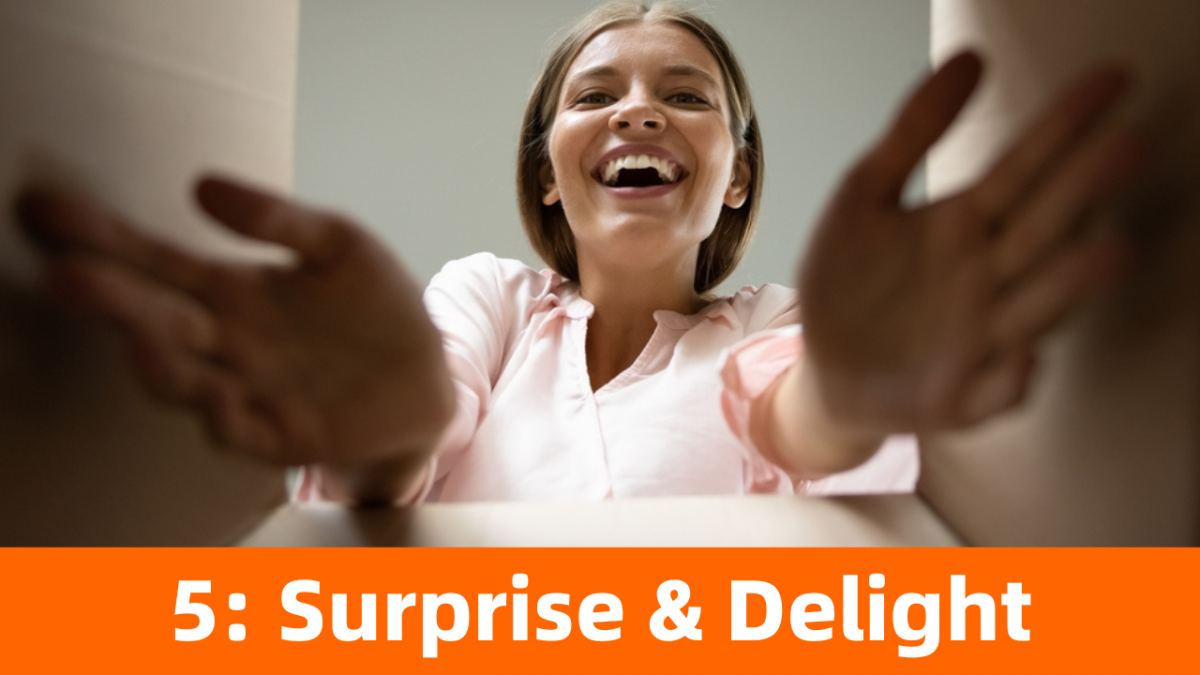 Surprise And Delight E Commerce 2024